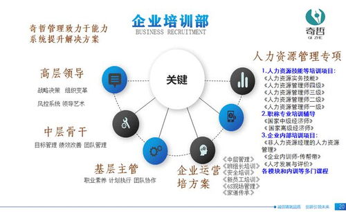 上海奇哲咨询 企业管理咨询与社会经济咨询的双重价值
